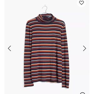 Fine Ribbed Turtleneck in Brendan Stripe